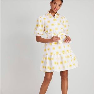 Kate Spade Suns Lake dress